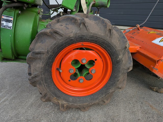 Tuinfrees, agria, 3400 - afbeelding 3 van  19