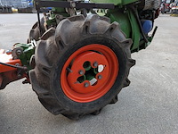 Tuinfrees, agria, 3400 - afbeelding 4 van  19