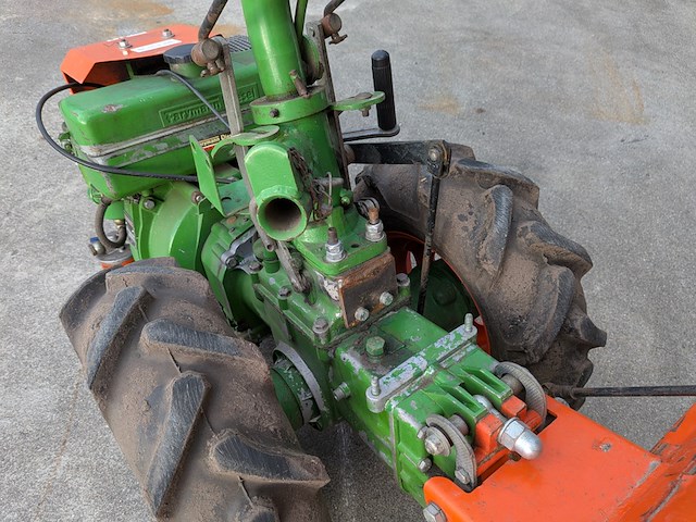 Tuinfrees, agria, 3400 - afbeelding 5 van  19