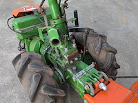 Tuinfrees, agria, 3400 - afbeelding 5 van  19