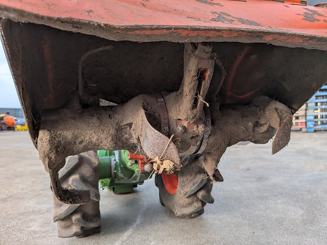 Tuinfrees, agria, 3400 - afbeelding 6 van  19