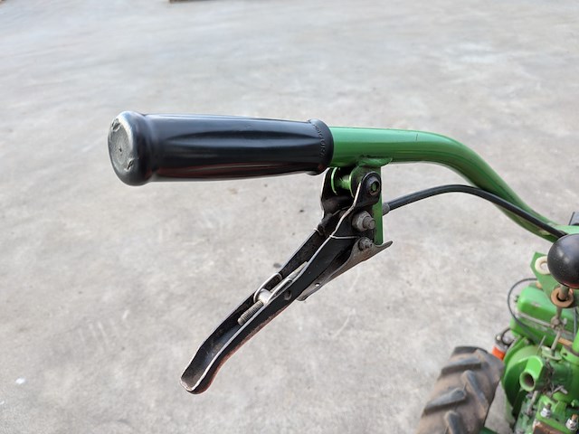 Tuinfrees, agria, 3400 - afbeelding 7 van  19