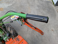 Tuinfrees, agria, 3400 - afbeelding 8 van  19