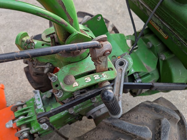 Tuinfrees, agria, 3400 - afbeelding 11 van  19