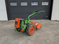 Tuinfrees, agria, 3400 - afbeelding 1 van  19