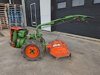 Tuinfrees, agria, 3400 - afbeelding 12 van  19