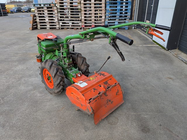 Tuinfrees, agria, 3400 - afbeelding 13 van  19