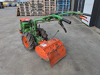 Tuinfrees, agria, 3400 - afbeelding 13 van  19