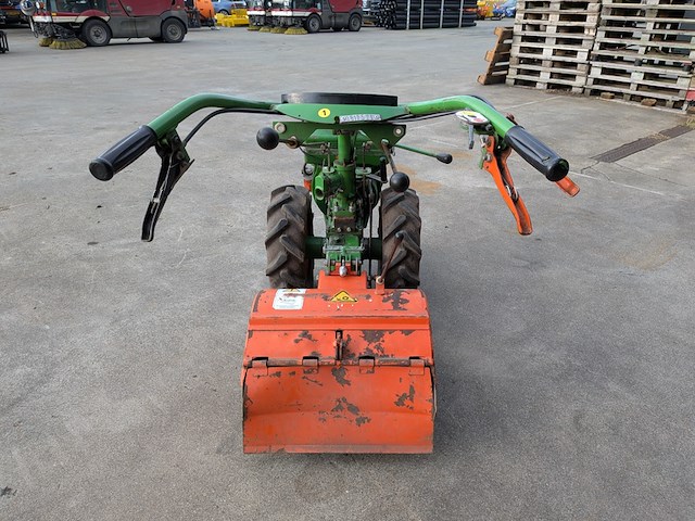 Tuinfrees, agria, 3400 - afbeelding 14 van  19