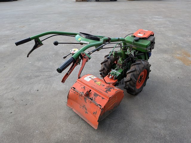 Tuinfrees, agria, 3400 - afbeelding 15 van  19