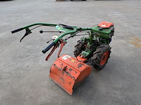 Tuinfrees, agria, 3400 - afbeelding 15 van  19