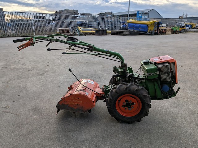 Tuinfrees, agria, 3400 - afbeelding 16 van  19