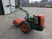 Tuinfrees, agria, 3400 - afbeelding 17 van  19