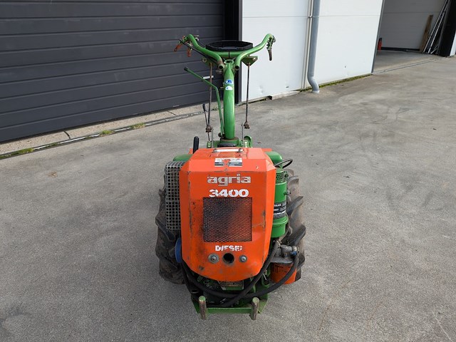 Tuinfrees, agria, 3400 - afbeelding 18 van  19