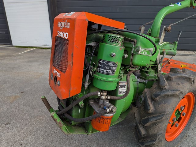 Tuinfrees, agria, 3400 - afbeelding 19 van  19