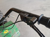 Tuinfrees, ferrari, 72s, 1998 - afbeelding 14 van  21