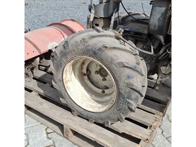 Tuinfrees, nibbi, 800, 1999 - afbeelding 4 van  24