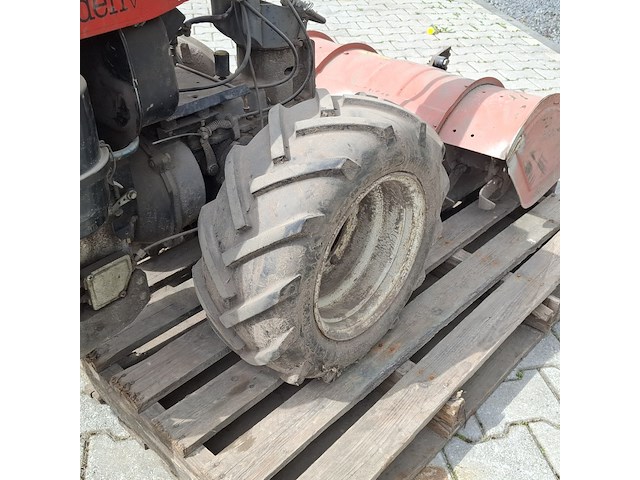 Tuinfrees, nibbi, 800, 1999 - afbeelding 5 van  24