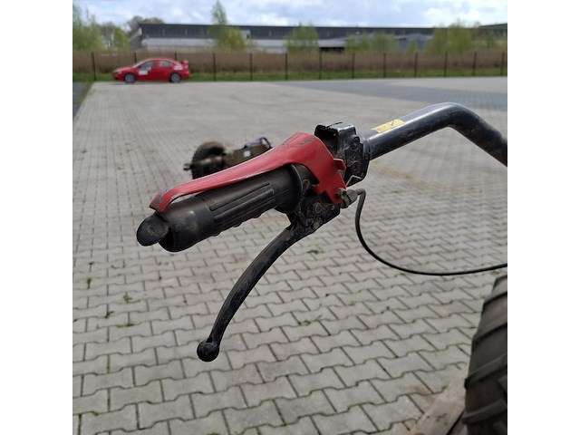 Tuinfrees, nibbi, 800, 1999 - afbeelding 7 van  24