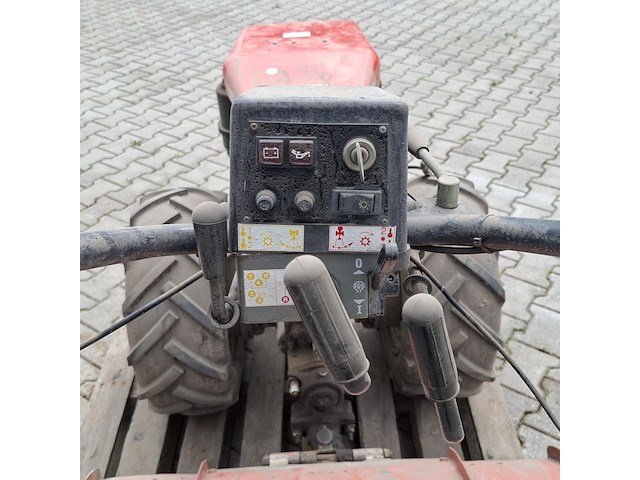 Tuinfrees, nibbi, 800, 1999 - afbeelding 9 van  24