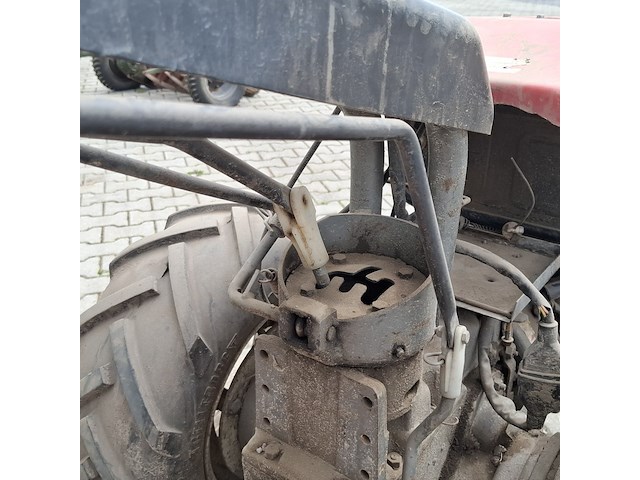 Tuinfrees, nibbi, 800, 1999 - afbeelding 10 van  24