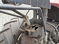 Tuinfrees, nibbi, 800, 1999 - afbeelding 10 van  24