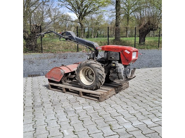 Tuinfrees, nibbi, 800, 1999 - afbeelding 1 van  24