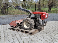 Tuinfrees, nibbi, 800, 1999 - afbeelding 1 van  24