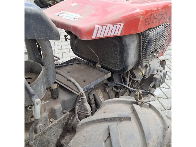 Tuinfrees, nibbi, 800, 1999 - afbeelding 13 van  24