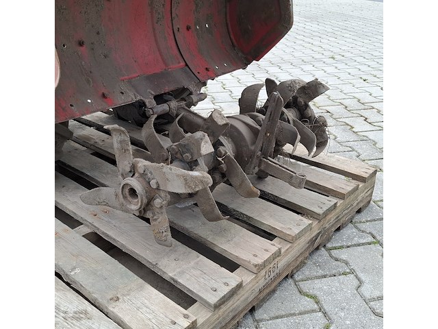 Tuinfrees, nibbi, 800, 1999 - afbeelding 16 van  24