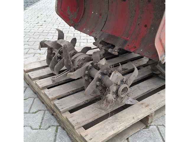 Tuinfrees, nibbi, 800, 1999 - afbeelding 17 van  24