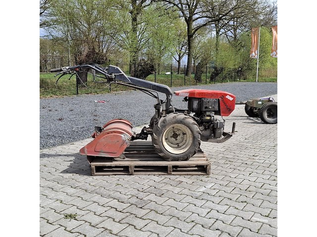 Tuinfrees, nibbi, 800, 1999 - afbeelding 12 van  24