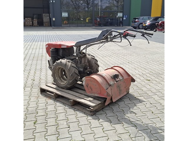 Tuinfrees, nibbi, 800, 1999 - afbeelding 20 van  24