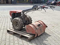 Tuinfrees, nibbi, 800, 1999 - afbeelding 20 van  24