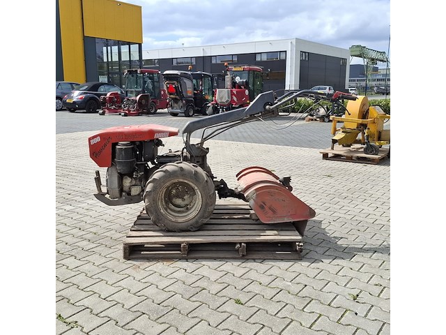 Tuinfrees, nibbi, 800, 1999 - afbeelding 21 van  24