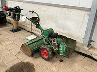 Tuinfrees