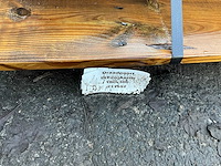 Tuinhek / poort (3x) - afbeelding 5 van  5