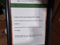 Tuinhuis (douglas) met overkapping - 670x250cm - afbeelding 10 van  10