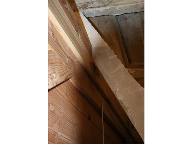 Tuinhuis (douglas) met overkapping - 670x250cm - afbeelding 4 van  16