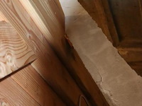 Tuinhuis (douglas) met overkapping - 670x250cm - afbeelding 4 van  16