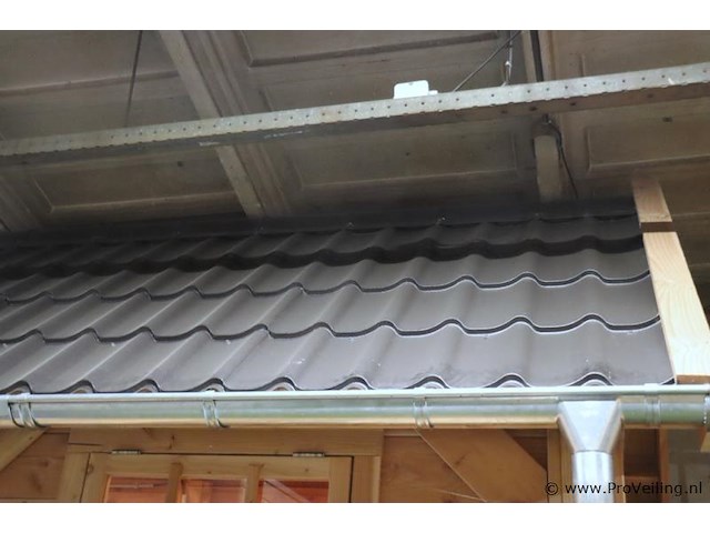 Tuinhuis (douglas) met zadeldak - 400x200cm - afbeelding 5 van  14