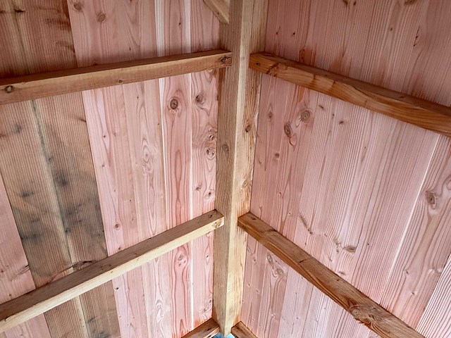 Tuinhuis triple-profiel 295x295x240 cm - afbeelding 7 van  12