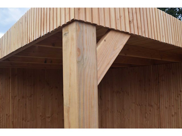 Tuinhuis triple-profiel met overkapping 350x550x240 cm - afbeelding 14 van  14