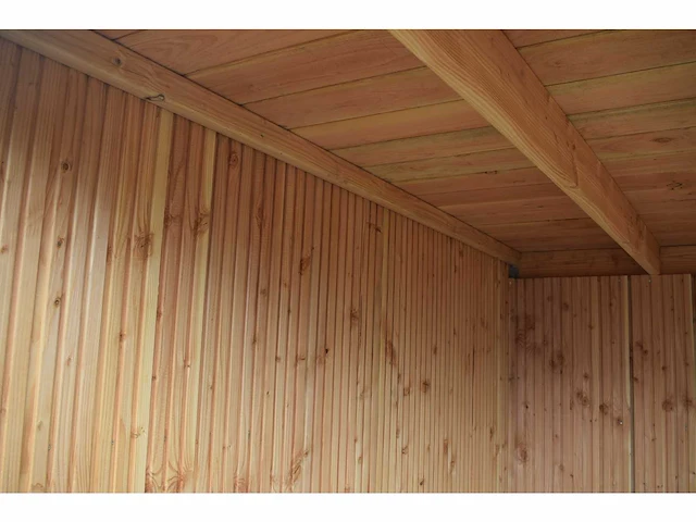 Tuinhuis triple-profiel met overkapping 350x550x240 cm - afbeelding 5 van  14