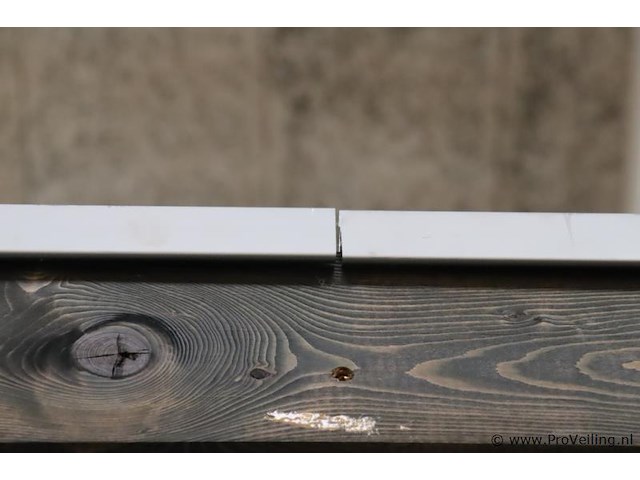 Tuinhuis (vuren) met veranda - 600x240cm - afbeelding 12 van  20