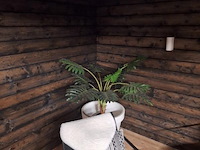 Tuinhuis (vuren) met veranda - 600x240cm - afbeelding 9 van  20