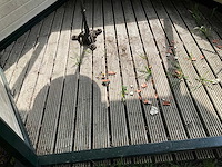 Tuinhuis - afbeelding 9 van  11