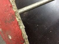 Tuinpaddenstoel - afbeelding 2 van  2