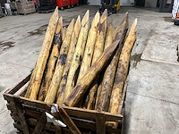 Tuinpalen (30x) - afbeelding 1 van  4