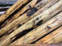 Tuinpalen (30x) - afbeelding 4 van  4